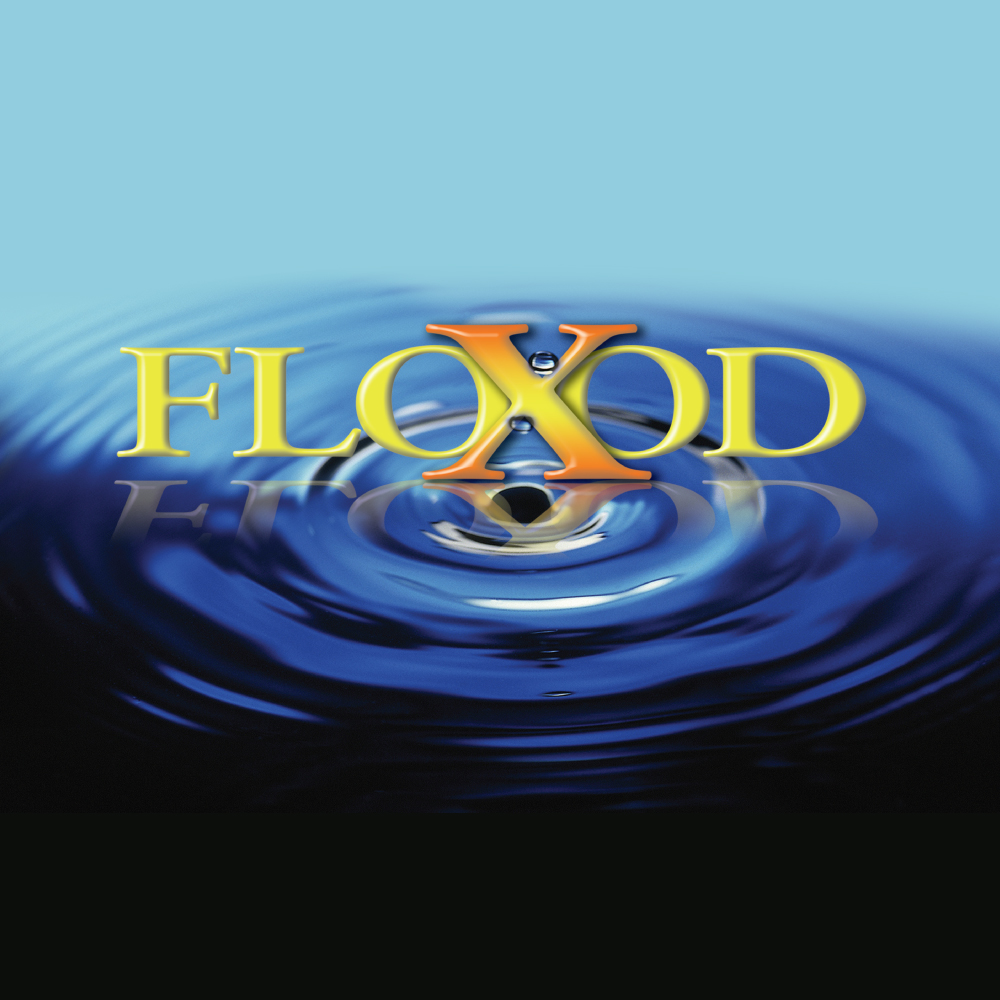 FloodX-Original-Logo-1000px